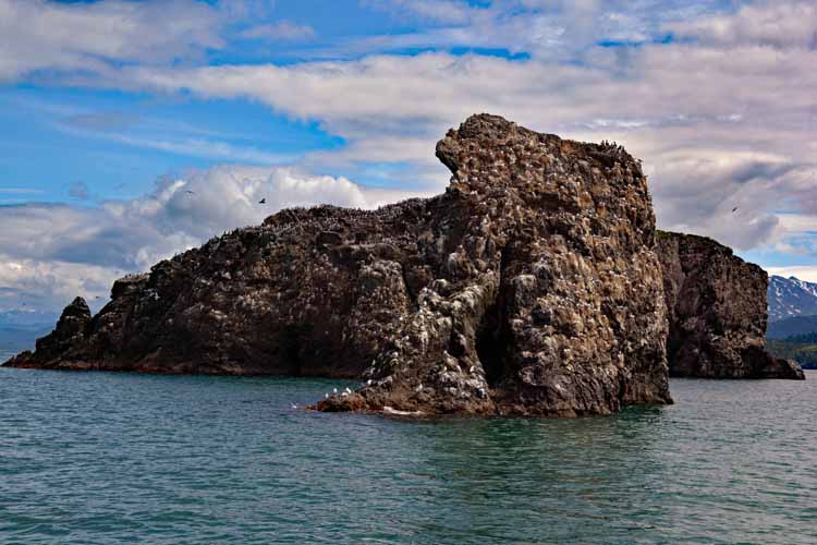 gull island